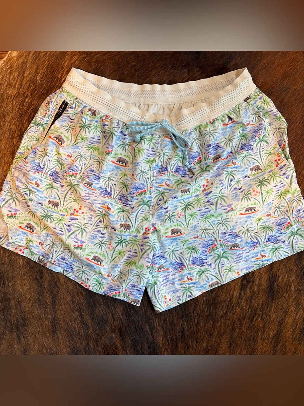 Rabbit Beach Break 4” Running Shorts Men M California Bear Surf Print Swim